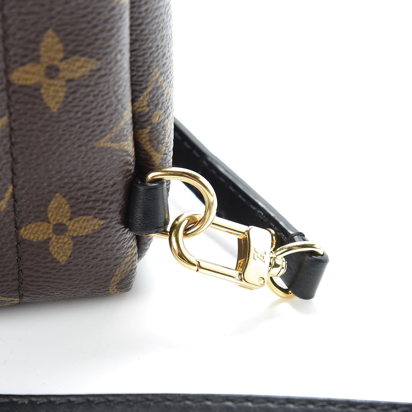 Monogram Palm Springs Backpack Mini