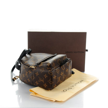 Louis Vuitton Monogram Palm Springs Backpack Mini 4 of 7