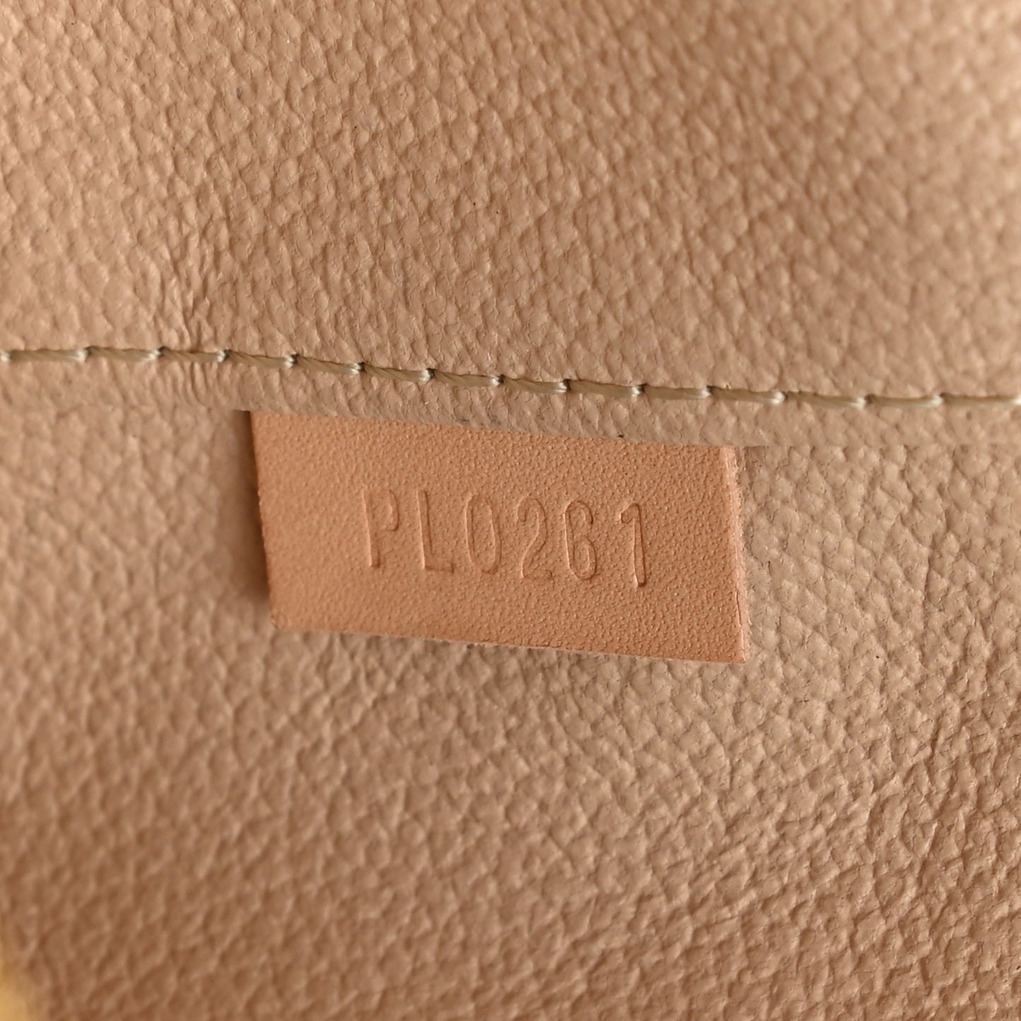 Monogram Nano Nice