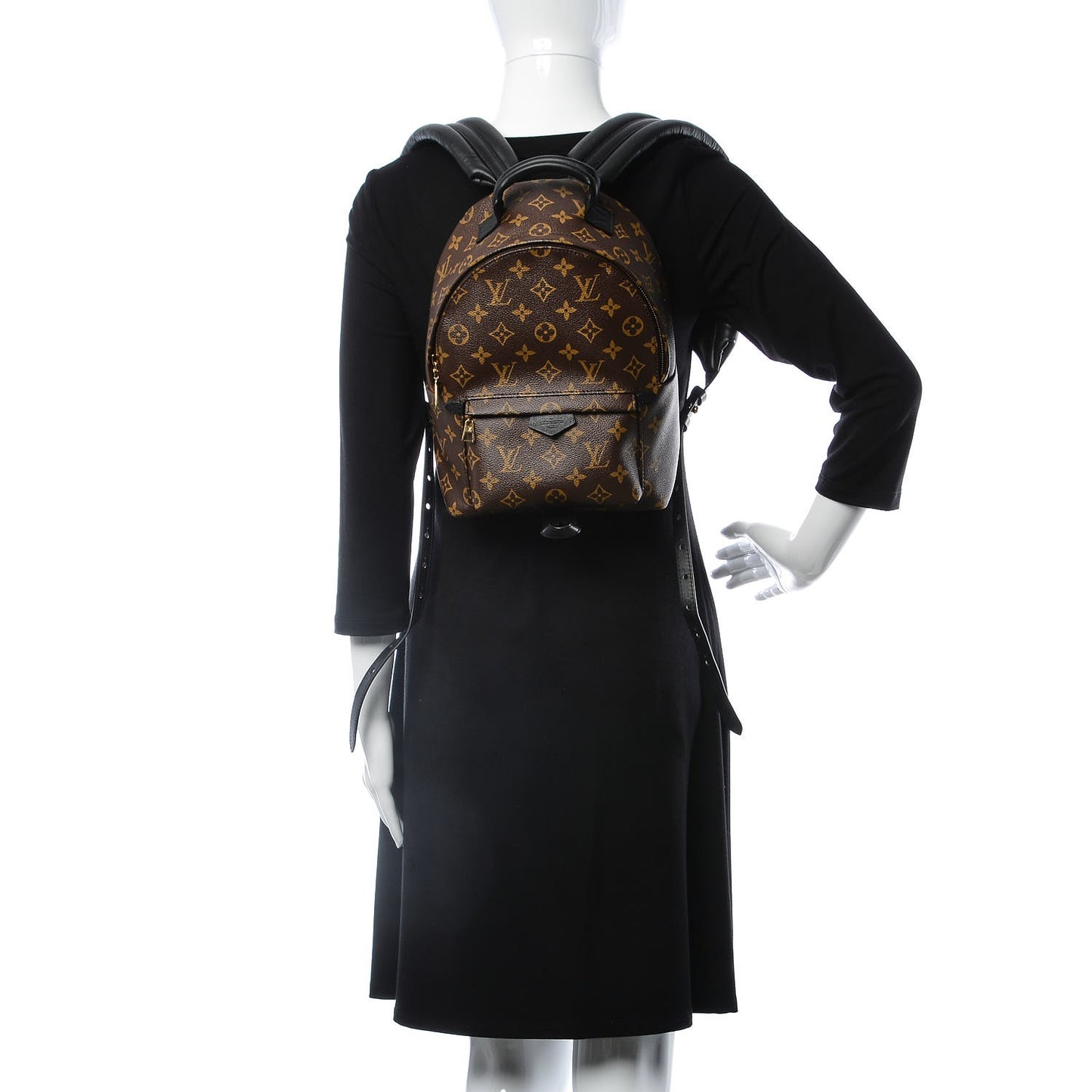 Monogram Palm Springs Backpack PM