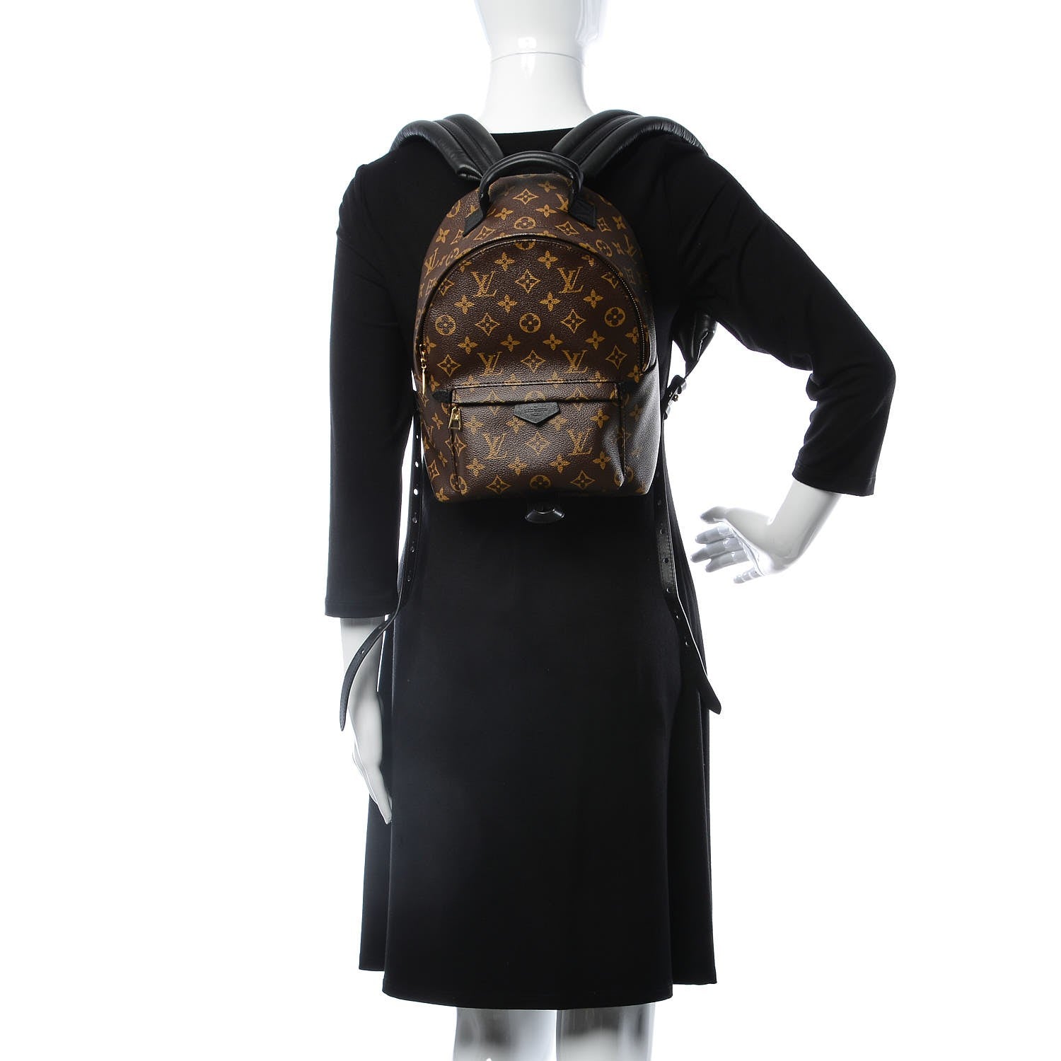 Louis Vuitton Monogram Palm Springs Backpack PM 2 of 10