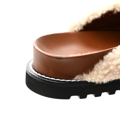 Louis Vuitton Shearling Paseo Flat Comfort Mule 36 Brown 9 of 10