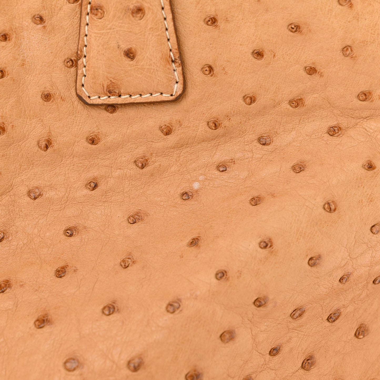 Ostrich Executive Tote Cognac