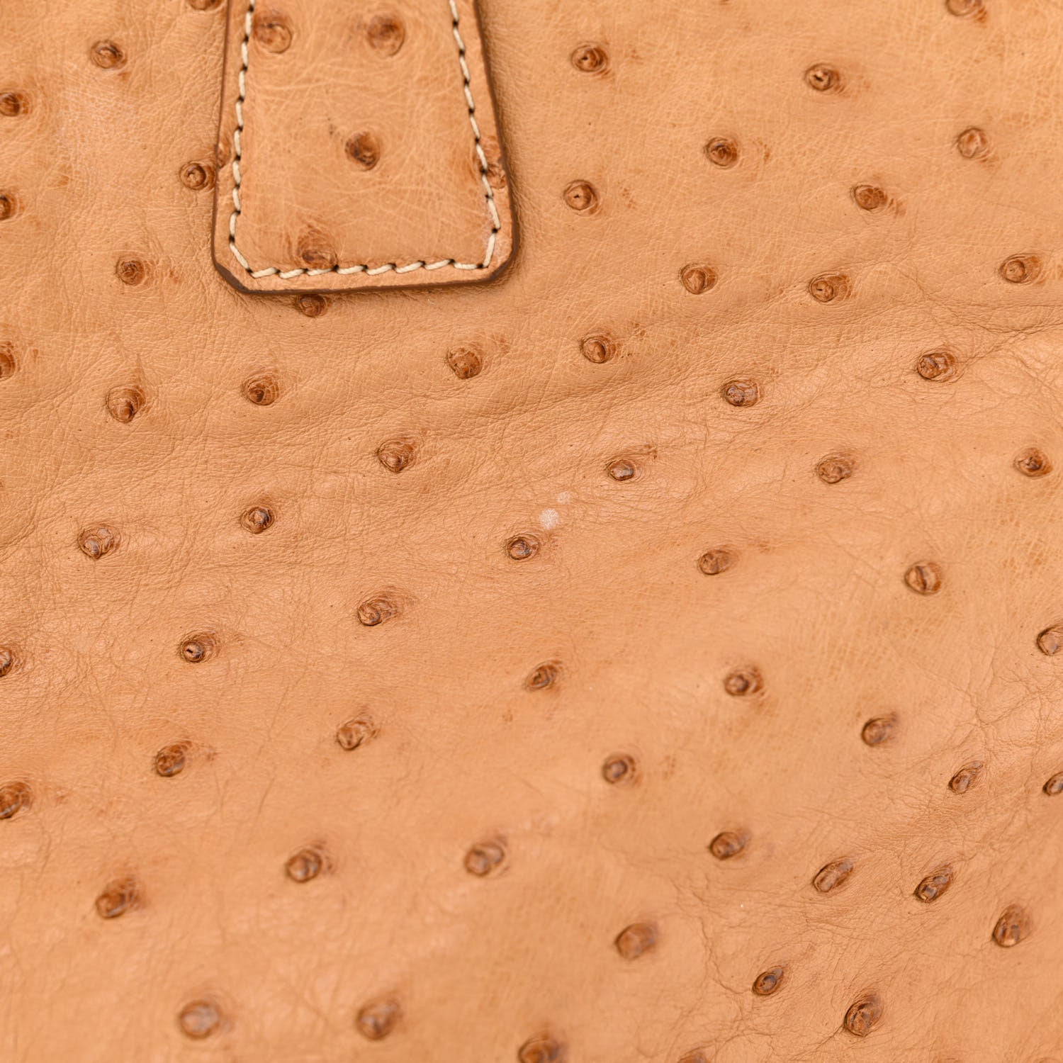 Prada Ostrich Executive Tote Cognac 13 of 18