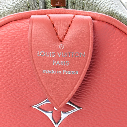 Louis Vuitton Masters Da Vinci Speedy 30 6 of 13