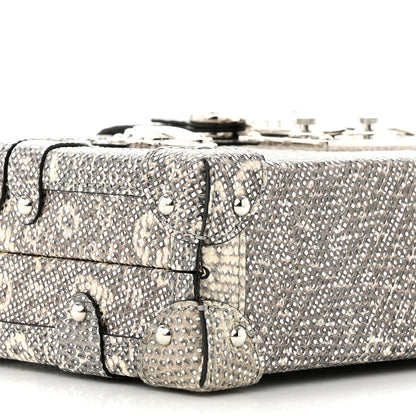 Louis Vuitton Lizard Petite Malle Silver 8 of 10