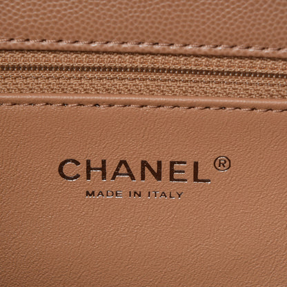 Chanel Caviar Lizard Quilted Large Coco Handle Flap Beige 6 of 7