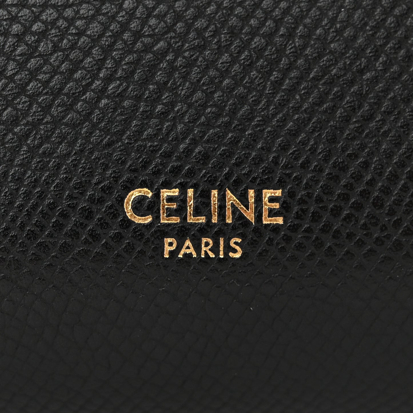 Grained Calfskin Nano Belt Bag Black