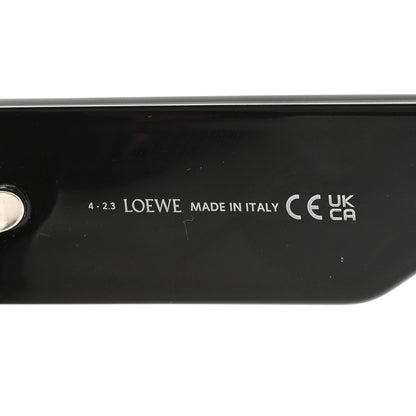 Loewe Acetate Paula's Ibiza Dive In Mask Sunglasses LW40064U Black Pink 5 of 7