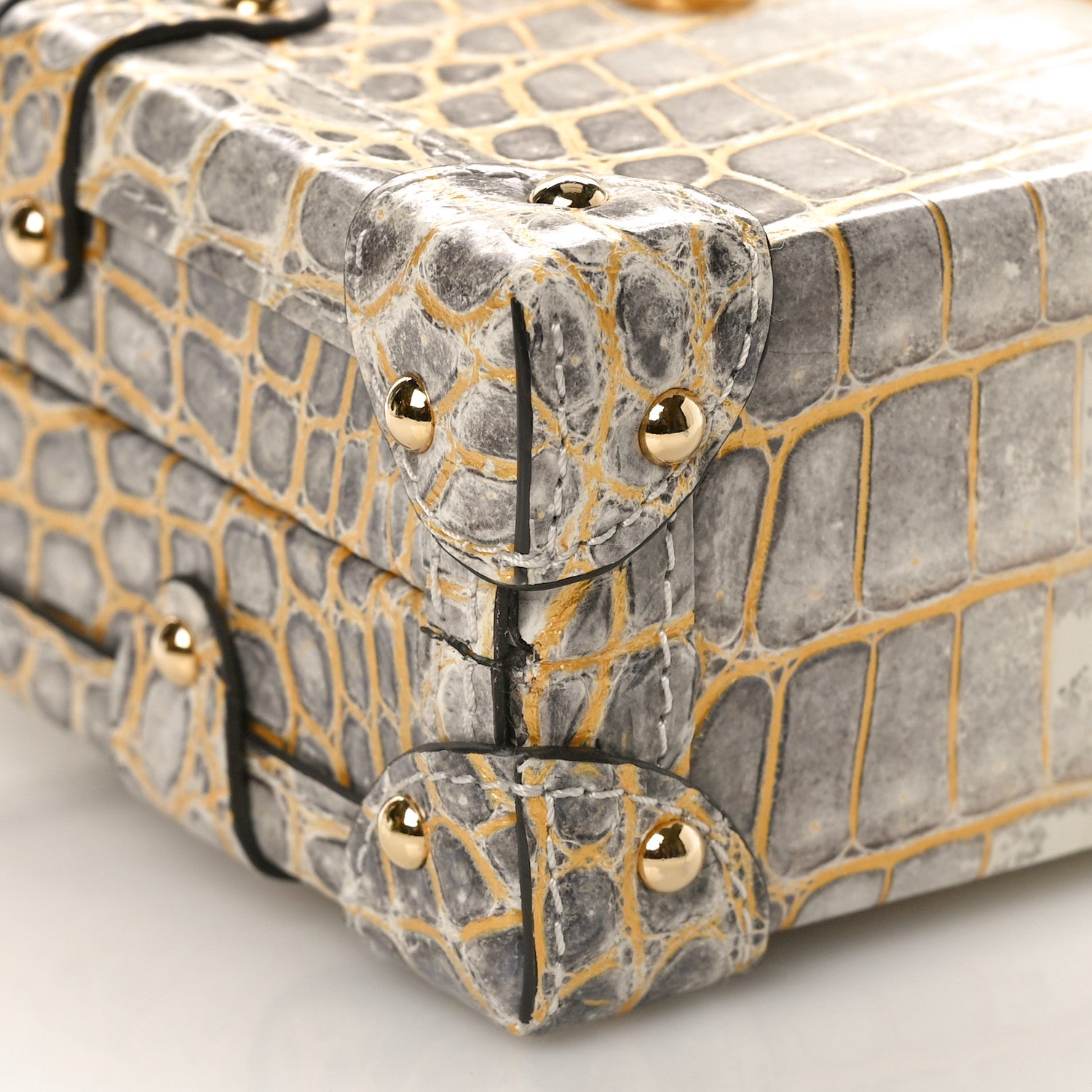 Louis Vuitton Alligator Petite Malle Natural White 8 of 9