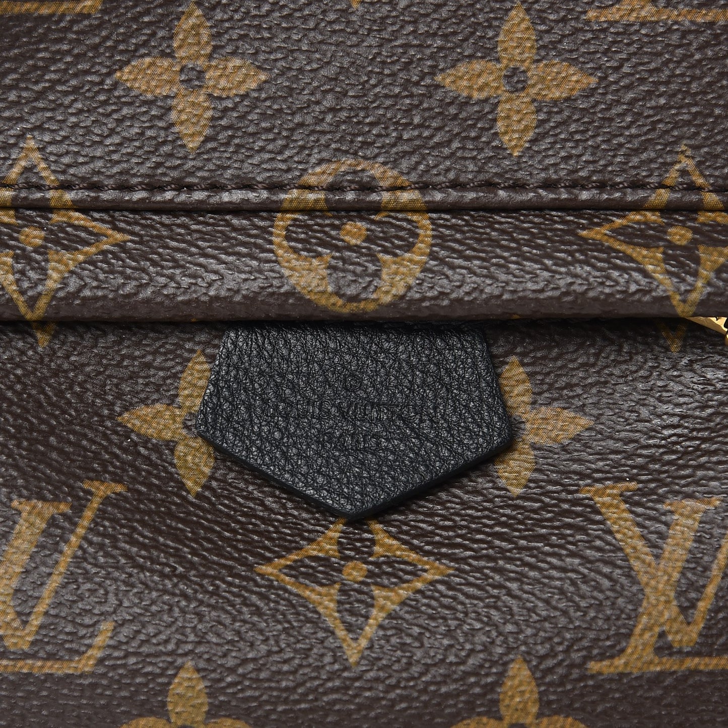 Monogram Palm Springs Backpack Mini