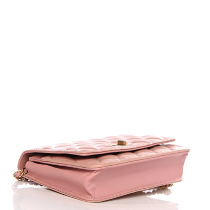 Chanel Calfskin Quilted Reissue Wallet On Chain WOC Pink 3 of 12