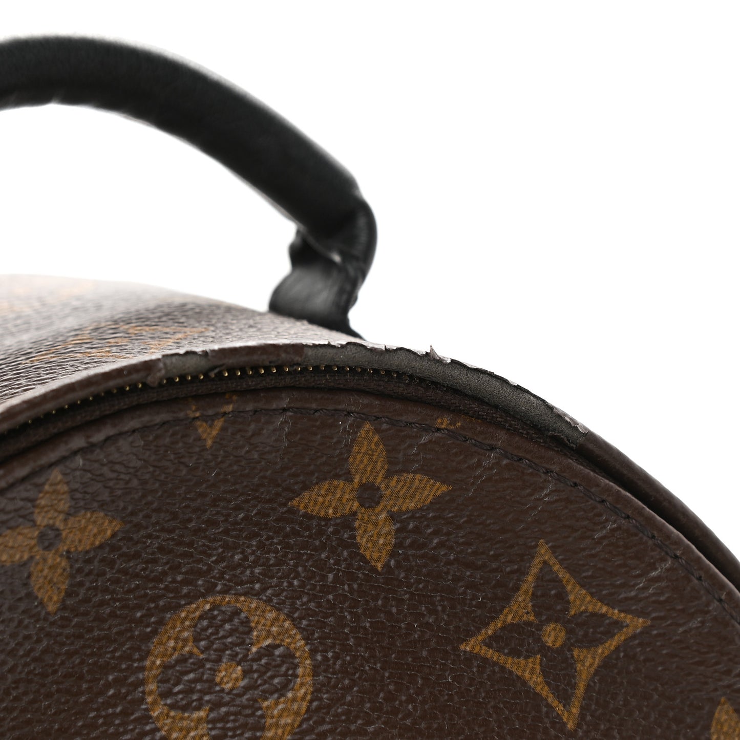 Monogram Palm Springs Backpack Mini