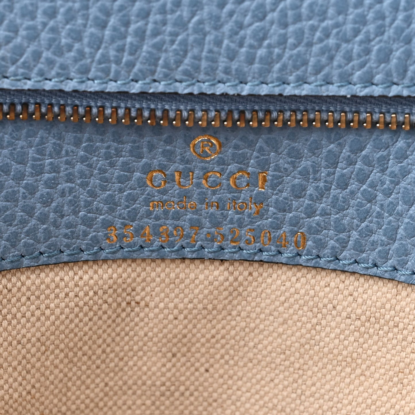 Dollar Calfskin Medium Swing Tote Camelia Mineral Blue
