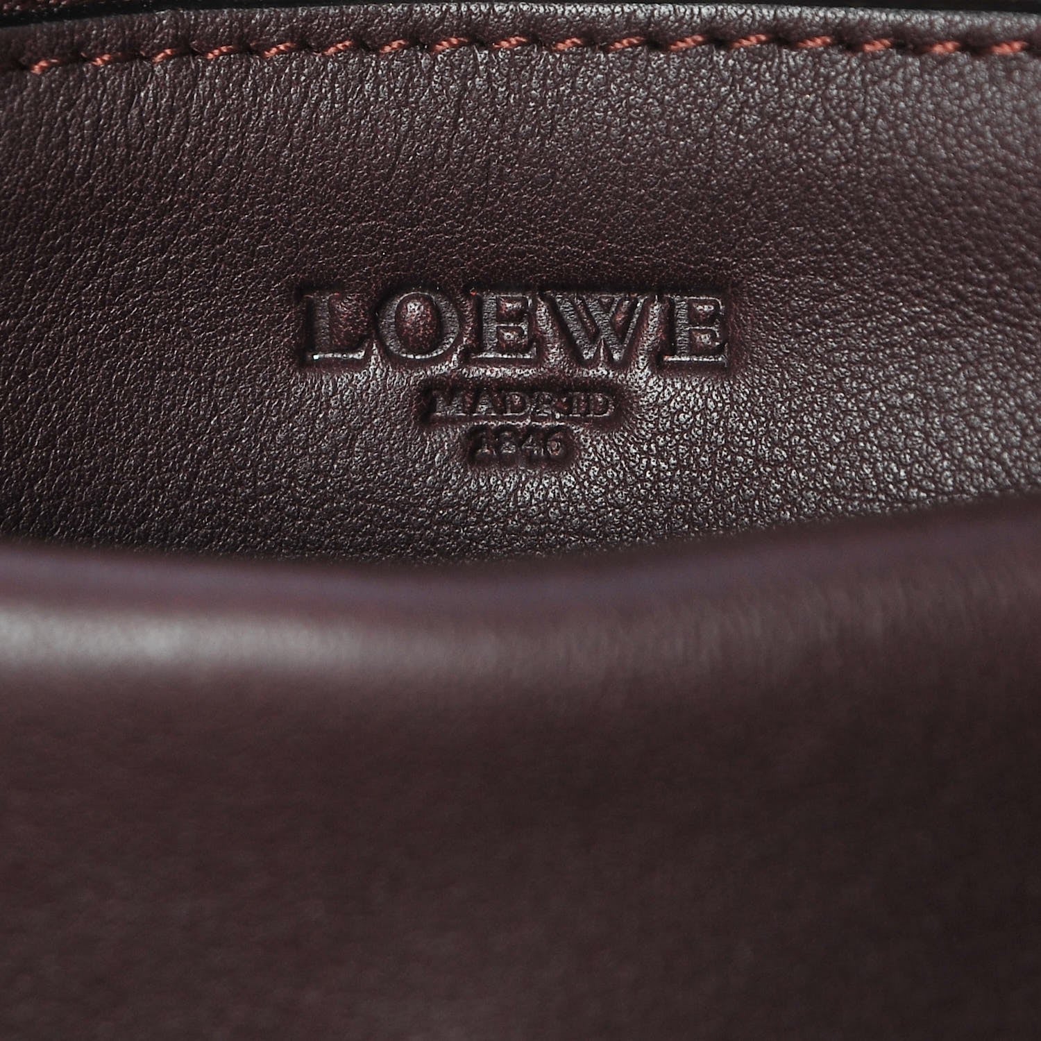 Loewe Calfskin Amazona 28 Oxblood 9 of 11