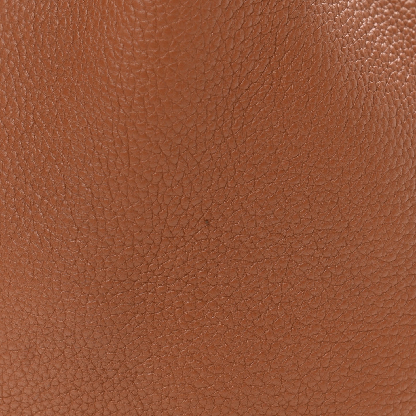 Taurillon Clemence Picotin 22 MM Gold