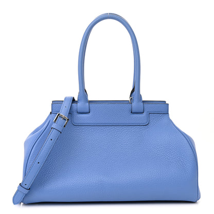 Moynat Taurillon Gex Pauline Tote 1 of 12