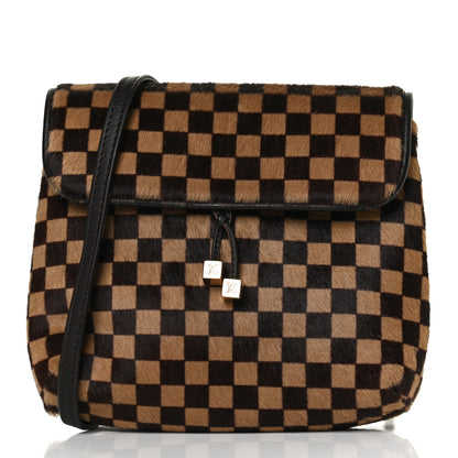 Louis Vuitton Damier Sauvage Gazelle Pochette 5 of 9