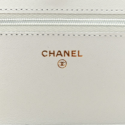 Chanel Lambskin Quilted Wallet On Chain WOC Grey 9 of 12