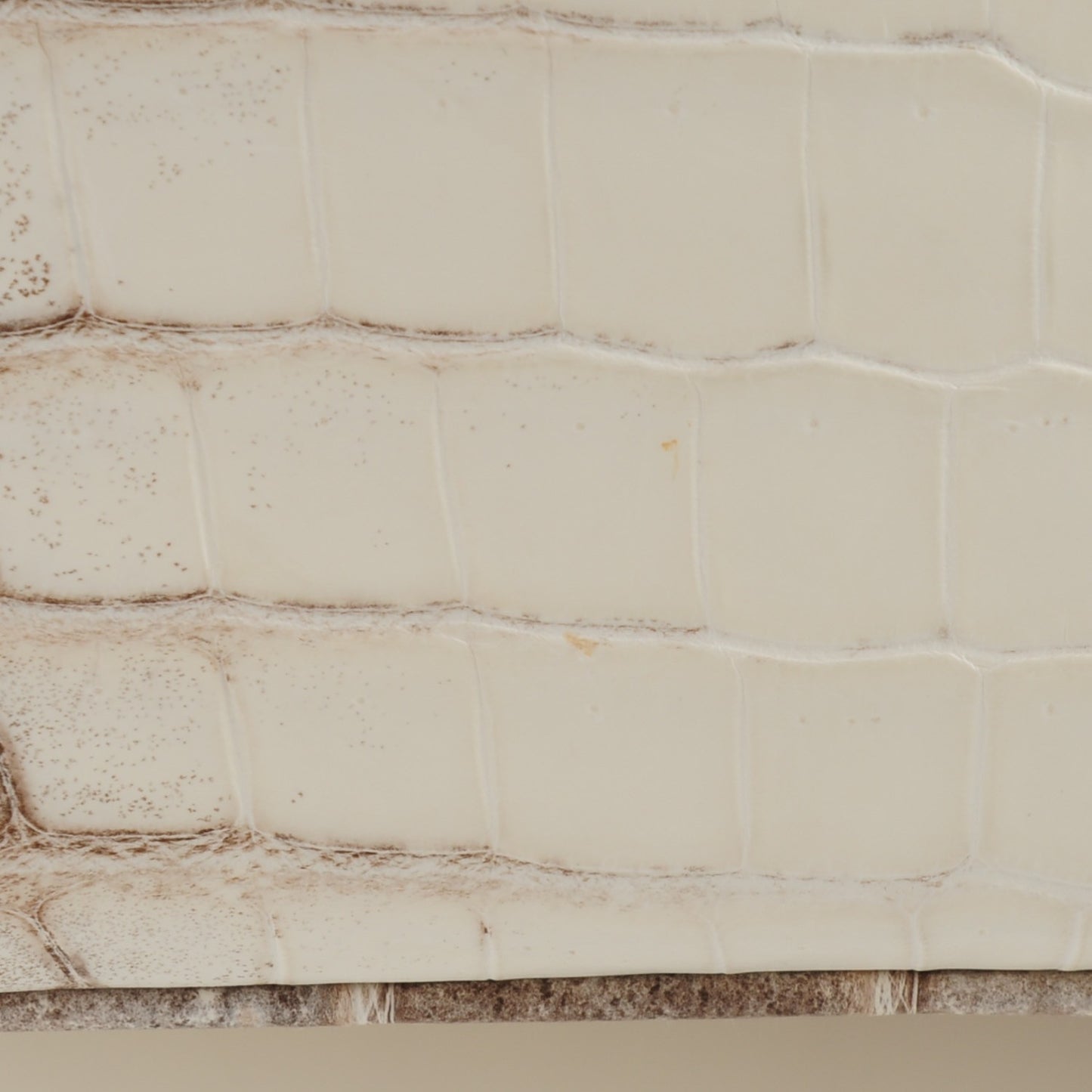 Matte Niloticus Crocodile Himalaya Kelly Retourne 25 White