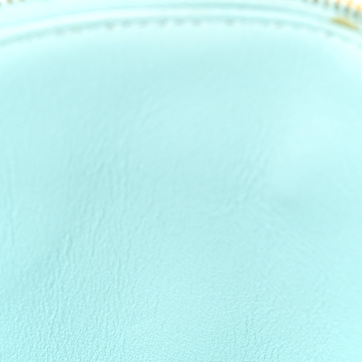 Lambskin Quilted Trendy Vanity Case Light Blue
