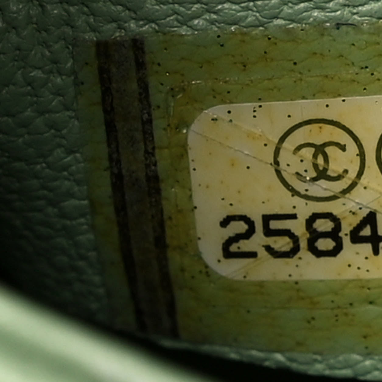 PVC Lambskin Stitched Medium Coco Splash Shopping Bag Green Pink