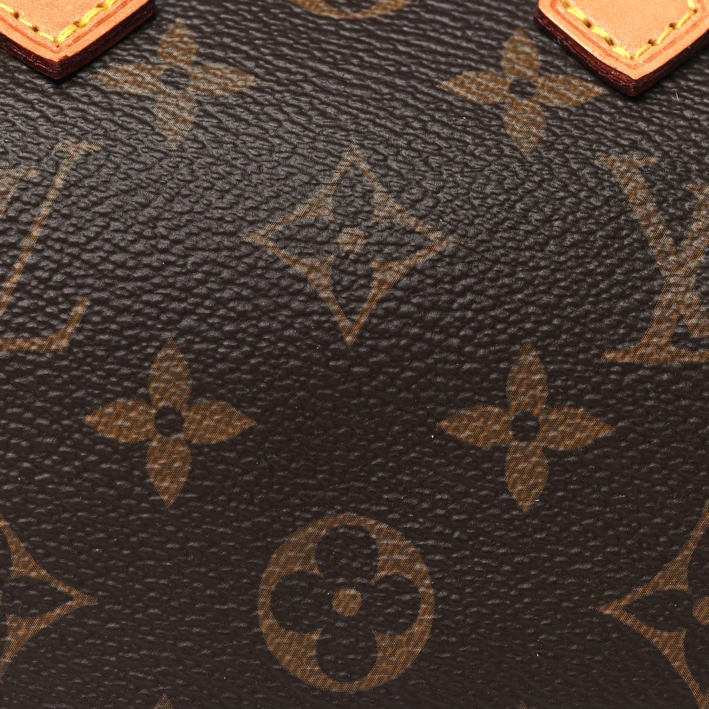 Monogram Nano Speedy