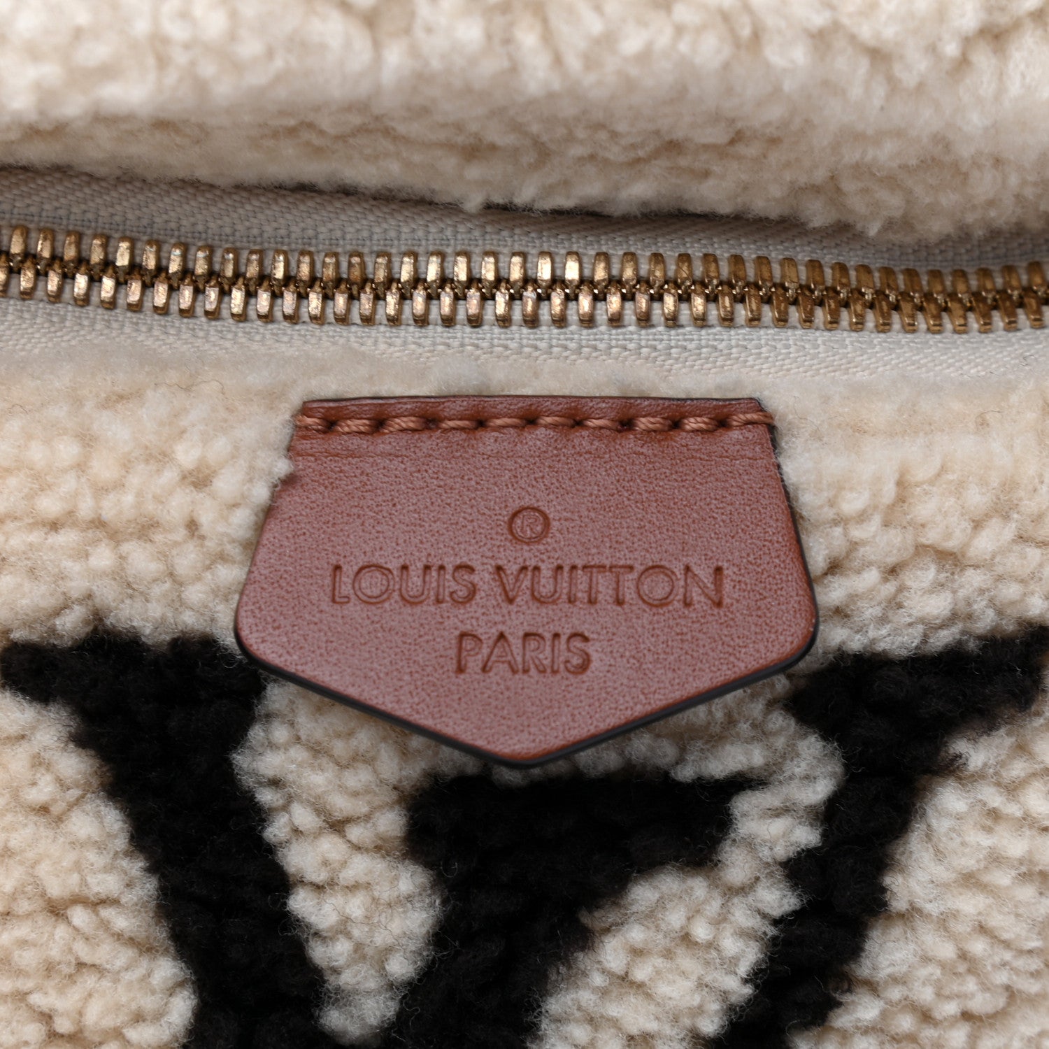 Louis Vuitton Monogram Teddy Bumbag 7 of 9