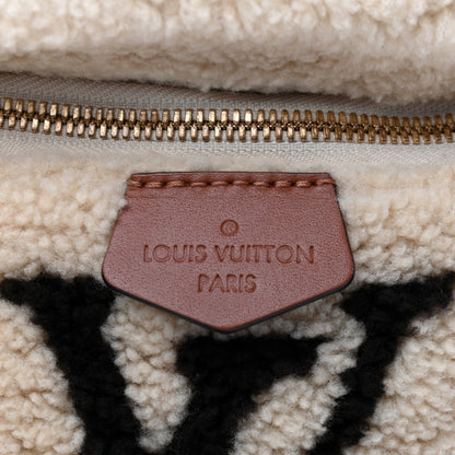 Louis Vuitton Monogram Teddy Bumbag 7 of 9