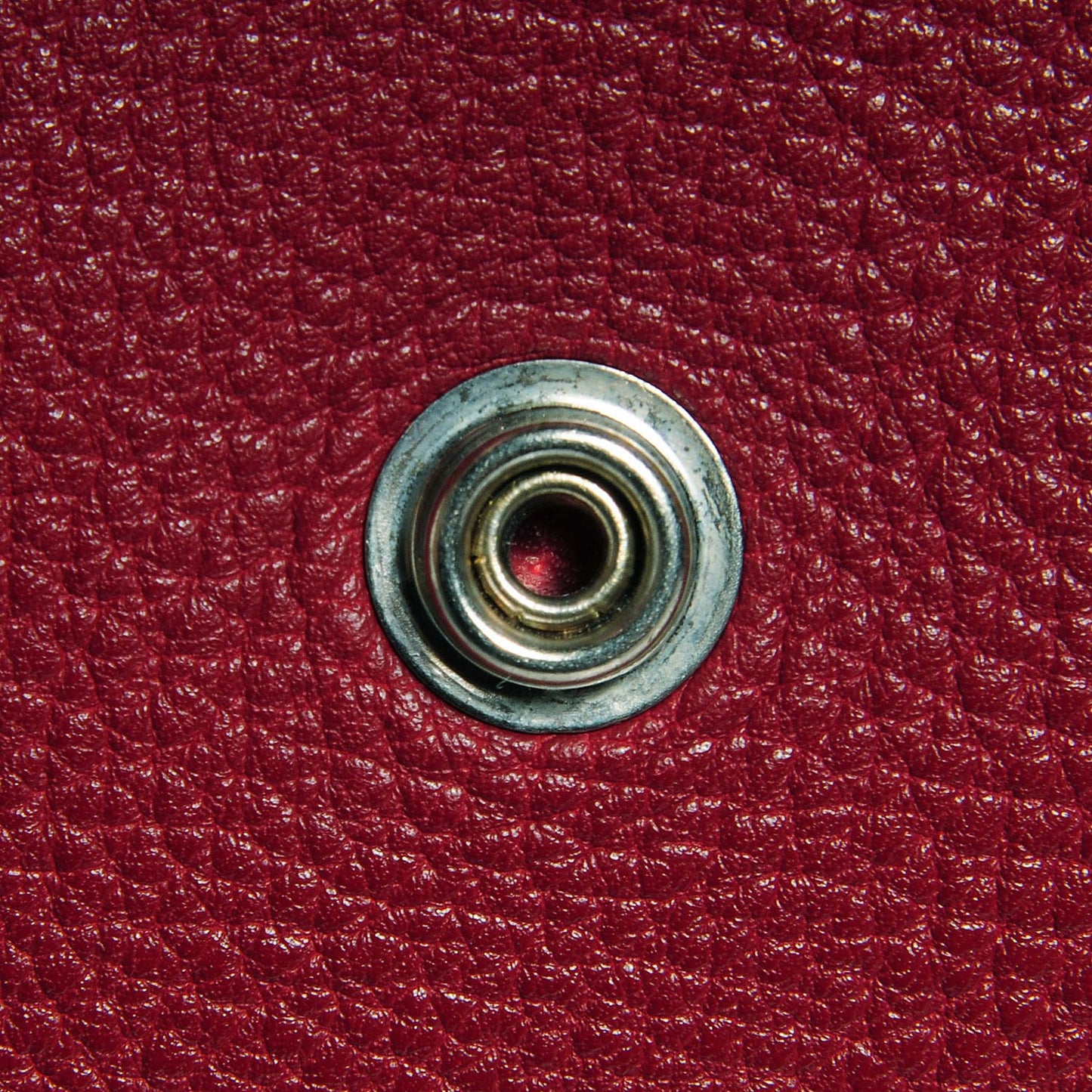 Taurillon Clemence Evelyne GM Rouge H