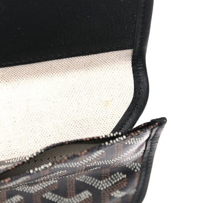 Goyard Goyardine Saint Louis PM Black 11 of 17