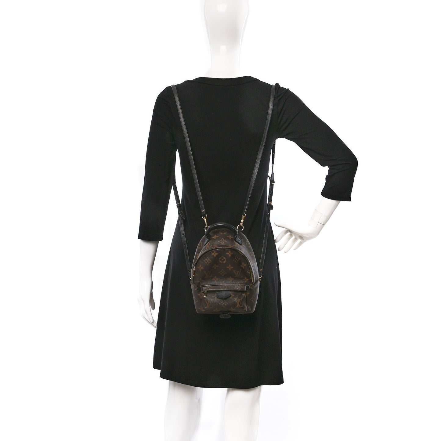 Monogram Palm Springs Backpack Mini