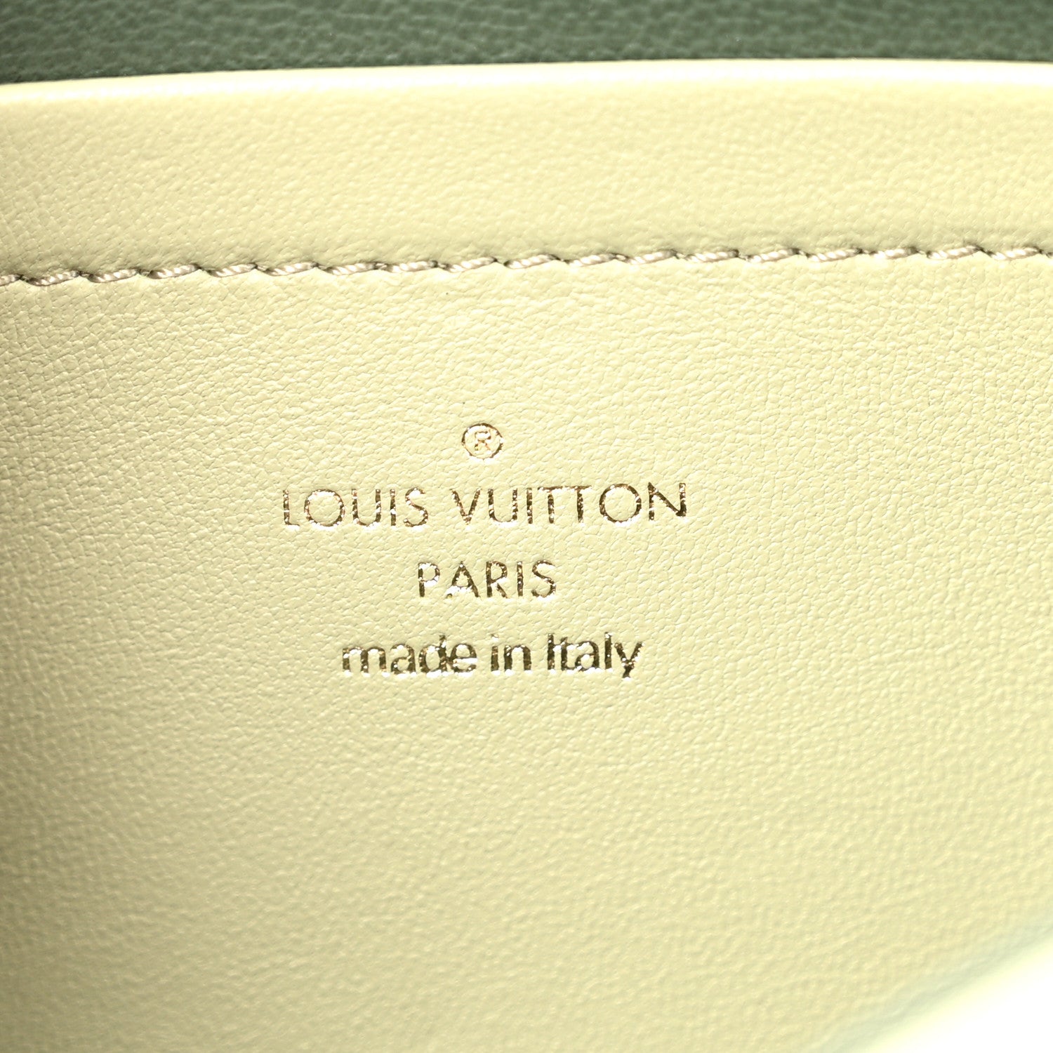 Louis Vuitton Lambskin Embossed Monogram Pochette Coussin Green 5 of 10