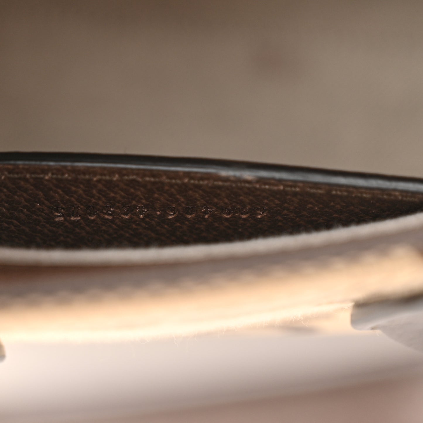 Monogram Jumbo GG Textured Dollar Calfskin Web Mini Vertical Tote Camel Ebony New Acero