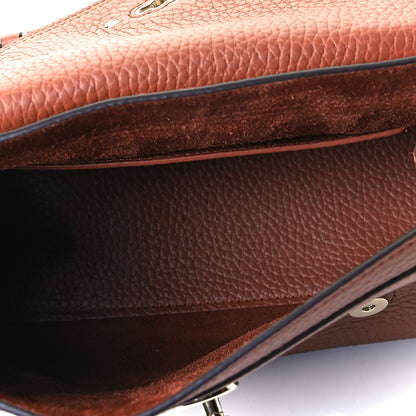 Mulberry Heavy Grain Mini Alexa Chestnut 24 of 25