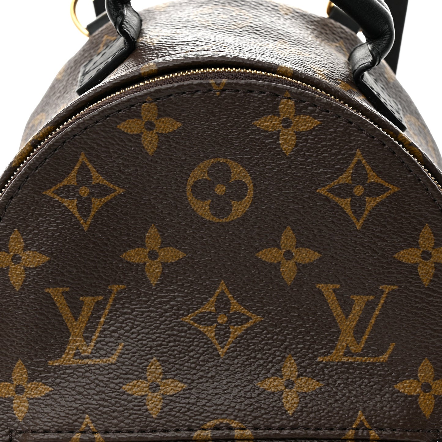Monogram Palm Springs Backpack Mini