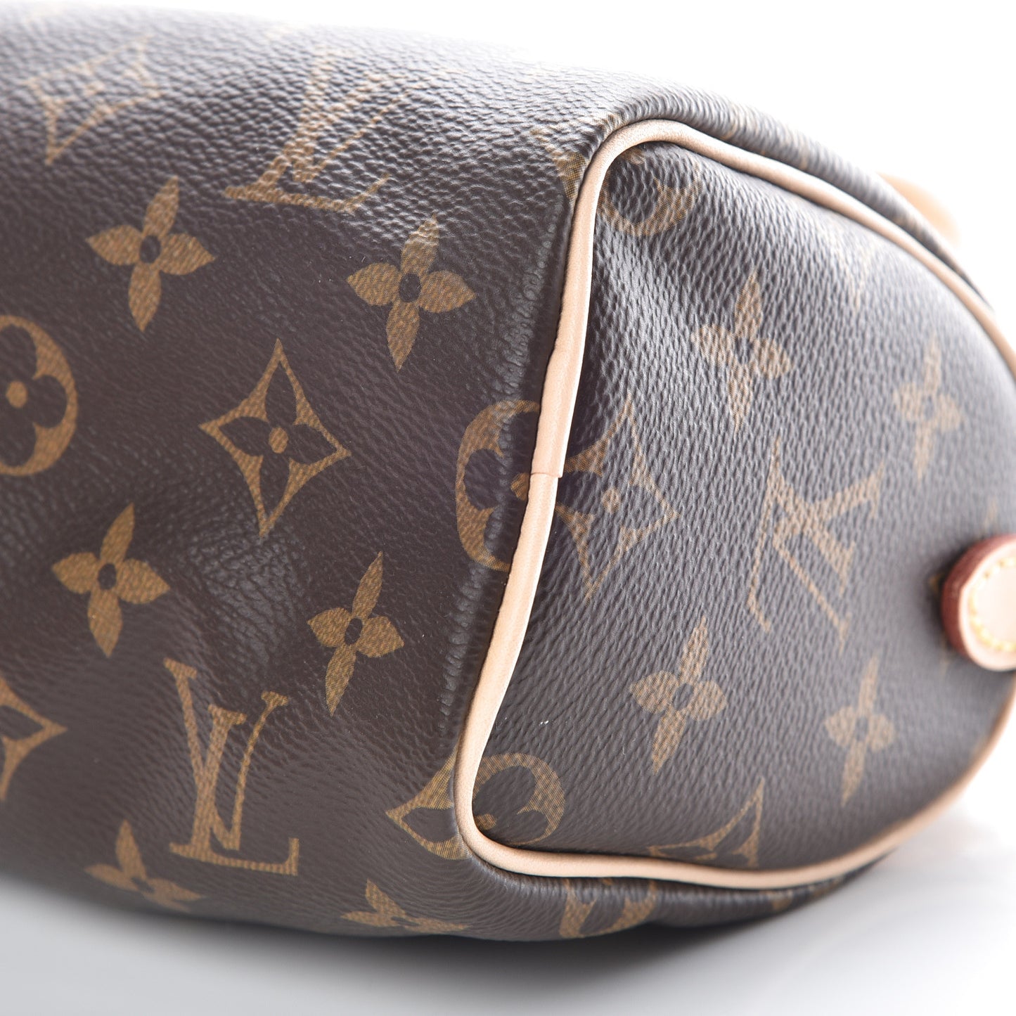 Monogram Nano Speedy