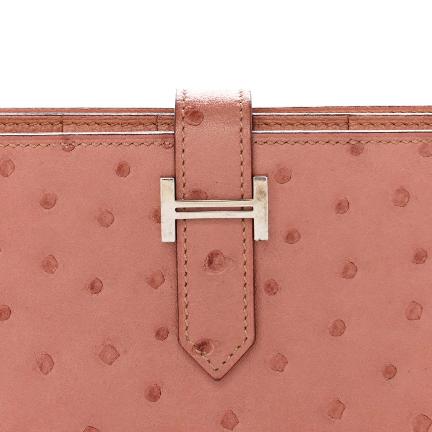 Ostrich Bearn Gusset Wallet Terre Cuite
