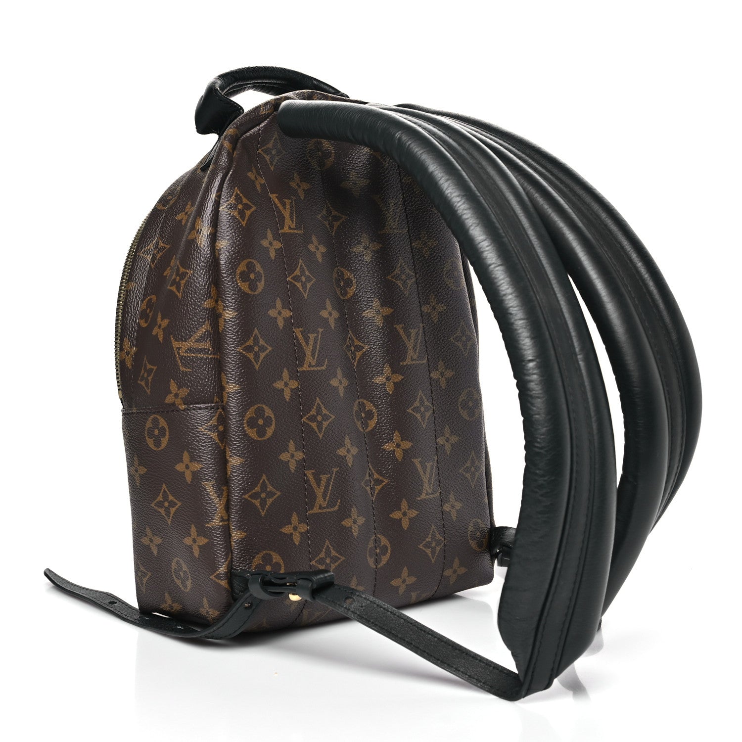 Louis Vuitton Monogram Palm Springs Backpack PM 3 of 10
