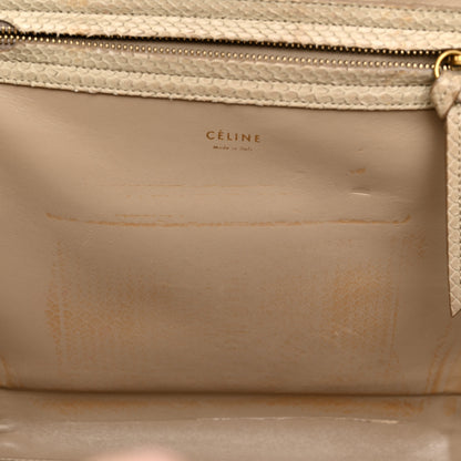 Celine Snakeskin Medium Phantom Luggage Grey 12 of 15
