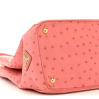 Prada Ostrich Large Galleria Double Zip Tote Begonia 9 of 15