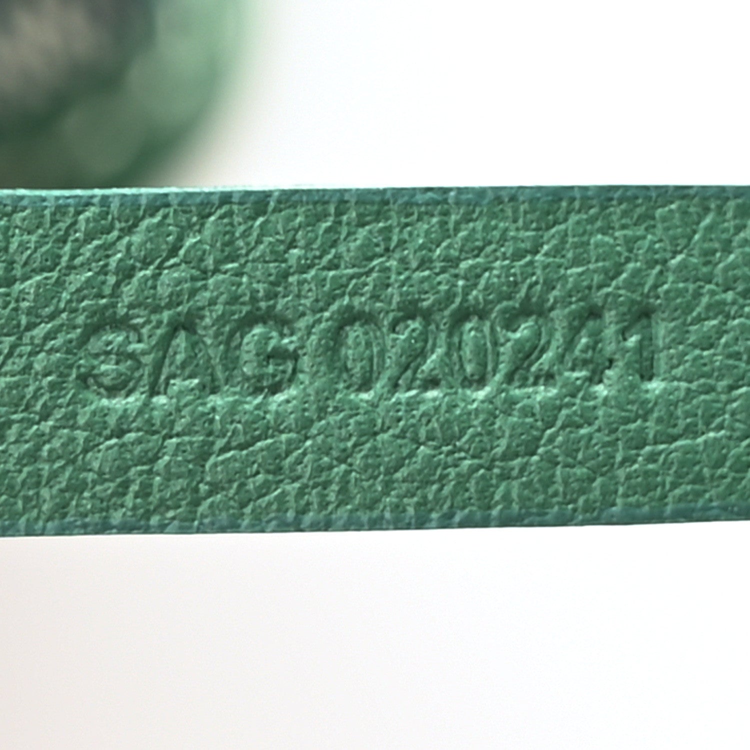 Goyard Goyardine Reversible Mini Anjou Green 8 of 18
