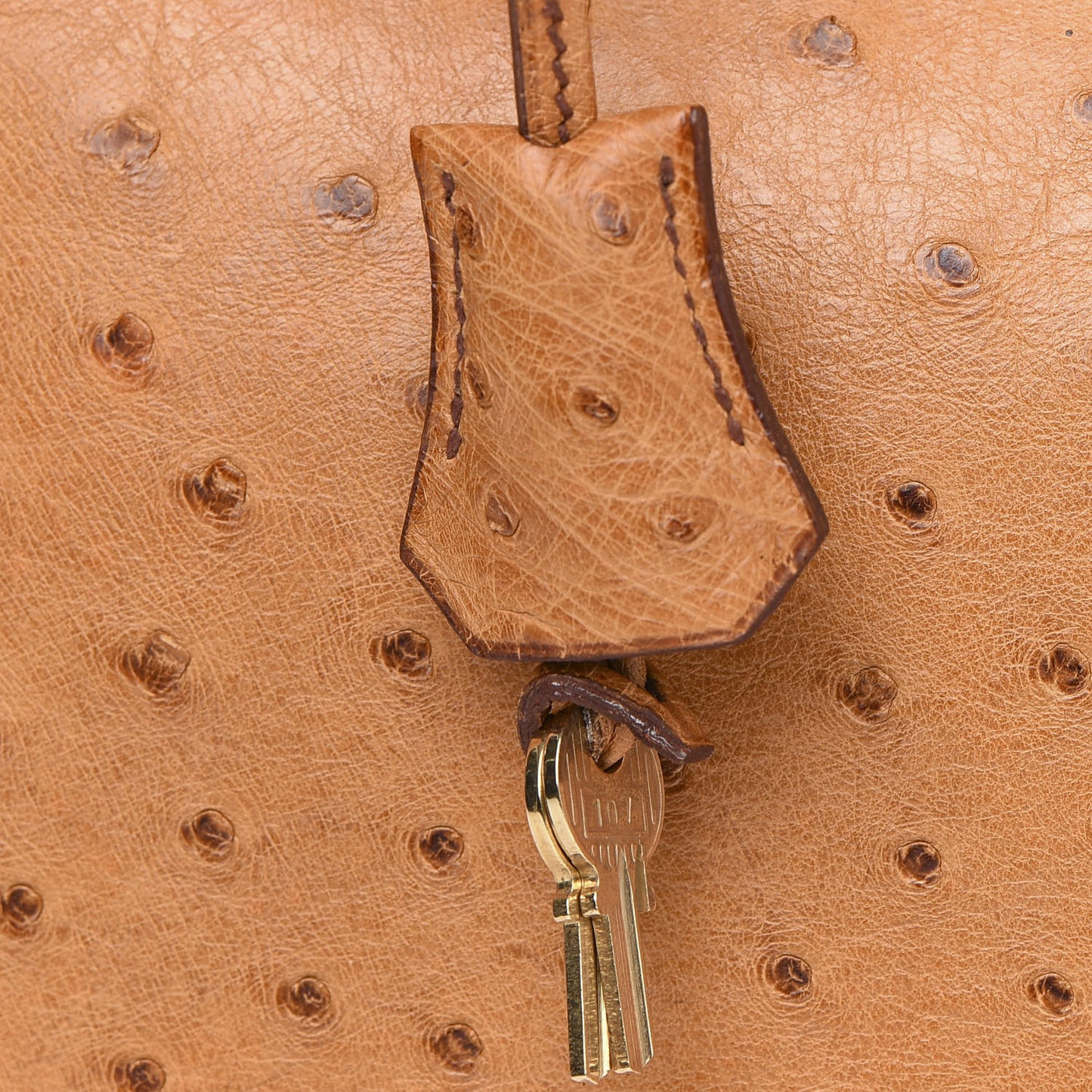 Ostrich Birkin 35 Gold