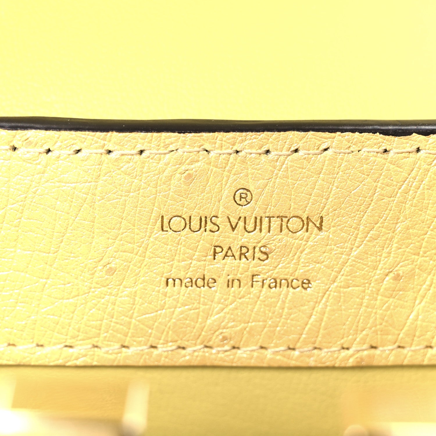 Louis Vuitton Iridescent Ostrich Capucines Mini Yellow 6 of 10