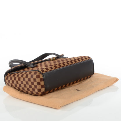 Louis Vuitton Damier Sauvage Lionne 4 of 9