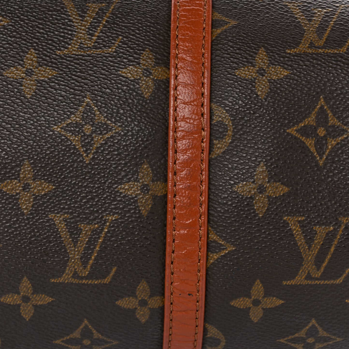 Monogram Papillon 30 with Companion