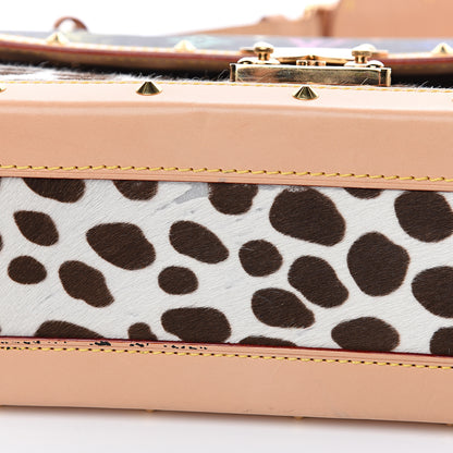 Louis Vuitton Monogram Multicolor Dalmatian Sac Rabat 7 of 13