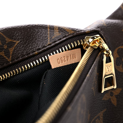 Louis Vuitton Monogram Bumbag 7 of 13