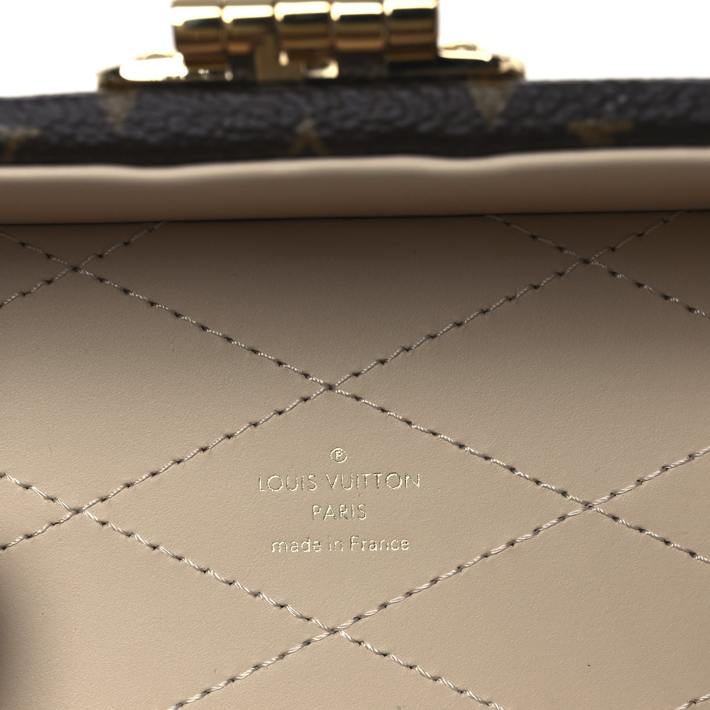 Monogram Vivienne Camera Box