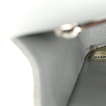 Chanel Metallic Snakeskin Medium Double Flap Light Blue 7 of 18